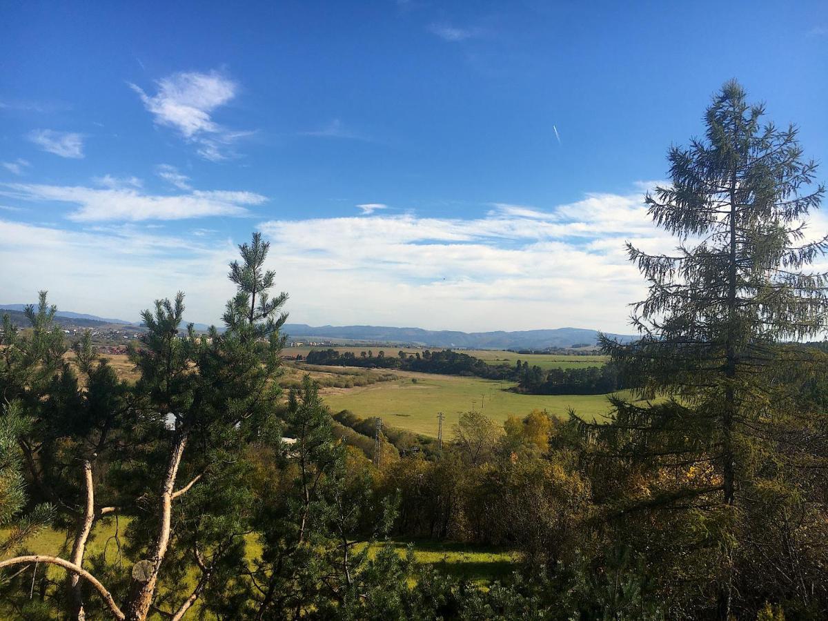 Villa Lupu Smizany Bagian luar foto